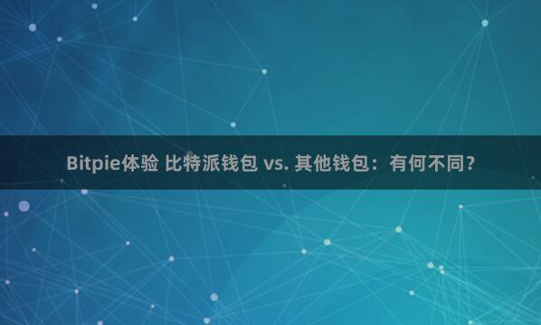 Bitpie体验 比特派钱包 vs. 其他钱包：有何不同？