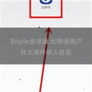 Bitpie全球版 比特派用户壮大海外华人社区