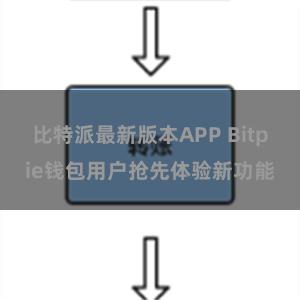 比特派最新版本APP Bitpie钱包用户抢先体验新功能