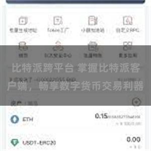 比特派跨平台 掌握比特派客户端，畅享数字货币交易利器