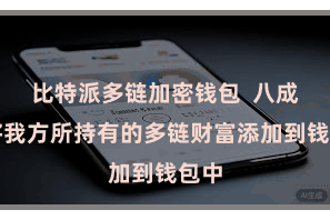 比特派多链加密钱包  八成地将我方所持有的多链财富添加到钱包中
